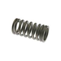 Reliance - K198-RP - Valve Spring