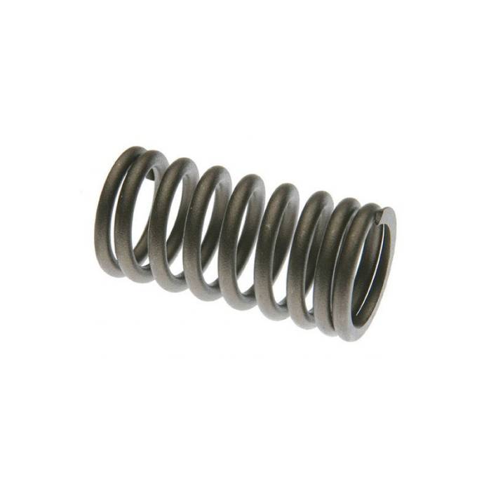 Reliance - 7251262-RP - Valve Spring