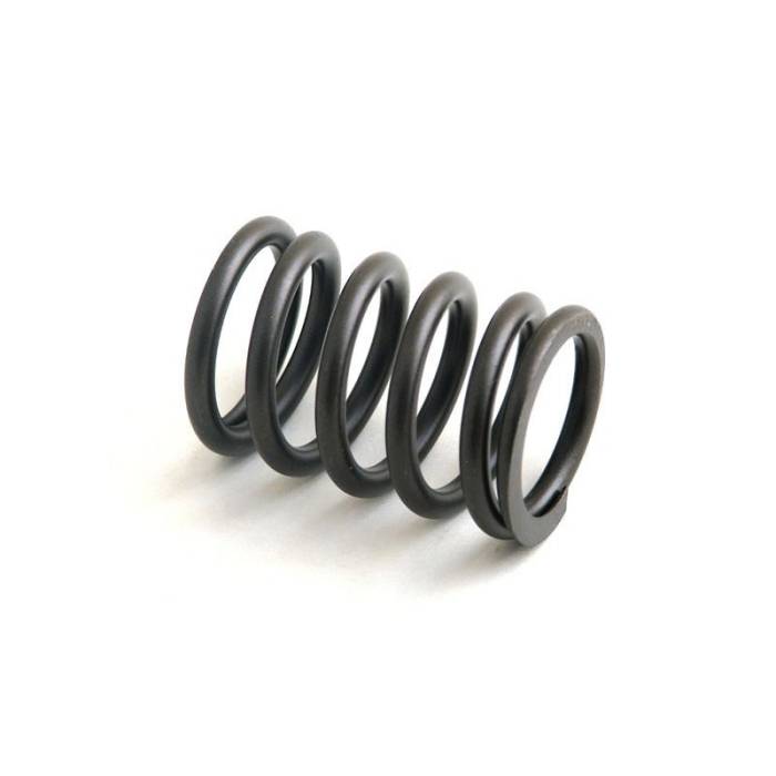 Reliance - 3055060-RP - Valve Spring