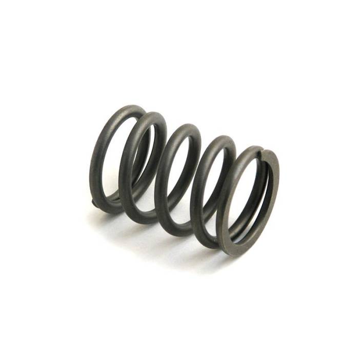 Reliance - 4780108-RP - Valve Spring