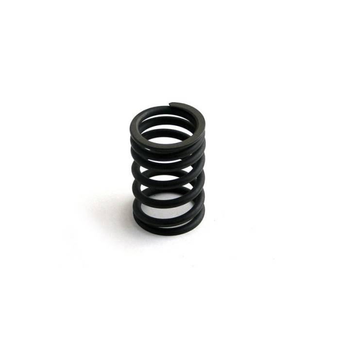 Reliance - 4798427-RP - Valve Spring