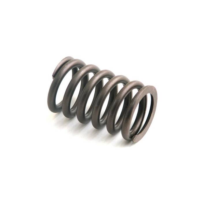 Reliance - 677349-RP - Valve Spring