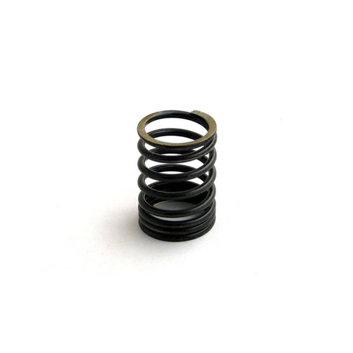 Reliance - 70211038-RP - Valve Spring