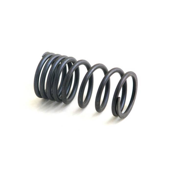 Reliance - 74336129-RP - Valve Spring