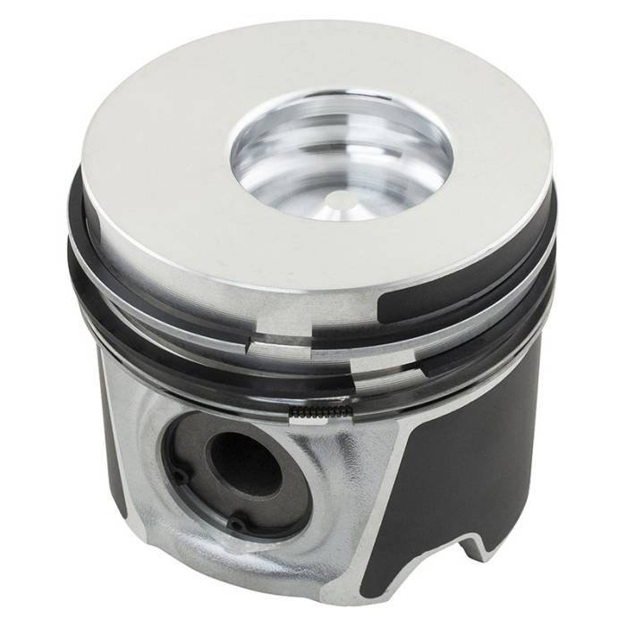 Reliance - 87317249-RP - Piston & Rings