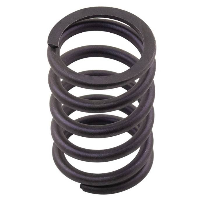 Reliance - TM27I309-RP - Valve Spring