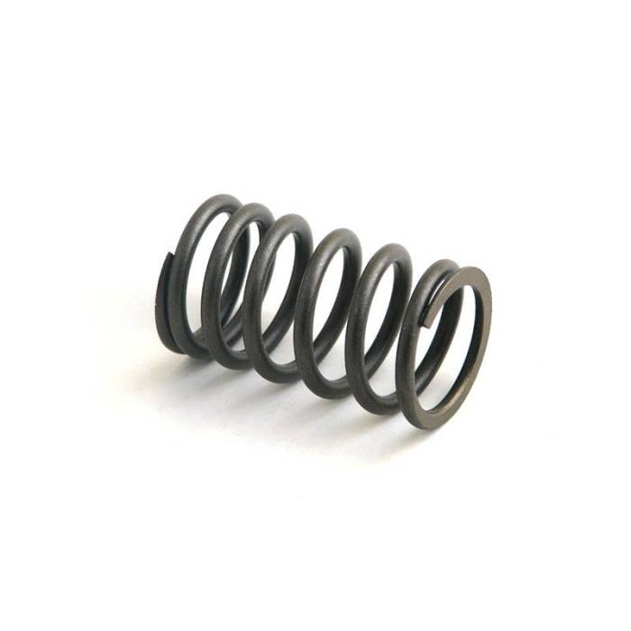 Reliance - 3369305-RP - Valve Spring