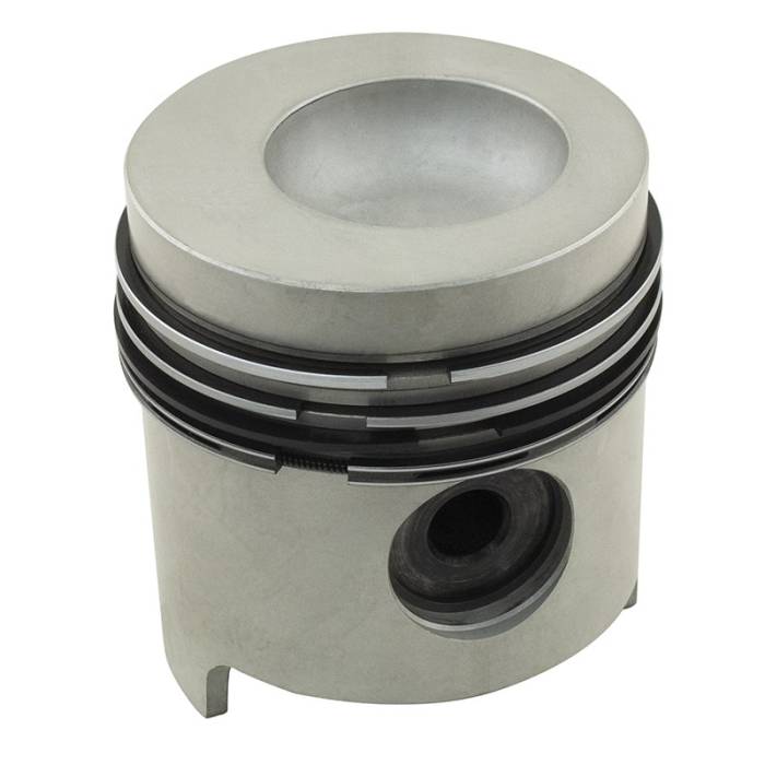 Reliance - 161169-RP - Piston & Rings