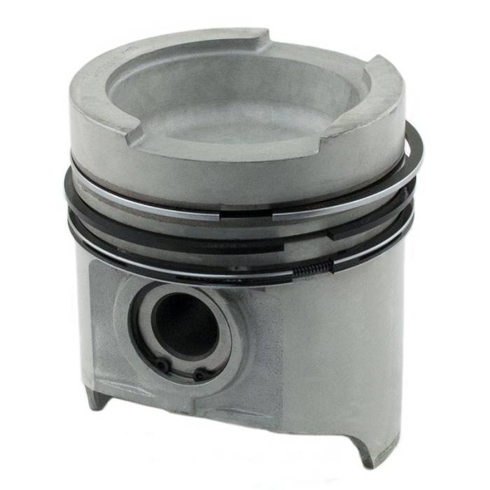 Reliance - 161199-RP - Piston & Rings