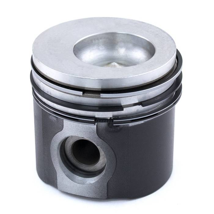 Reliance - 161252-RP - Piston & Rings