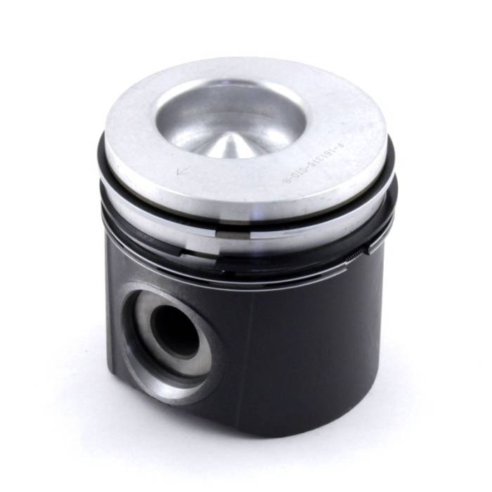 Reliance - 161316-RP - Piston & Rings