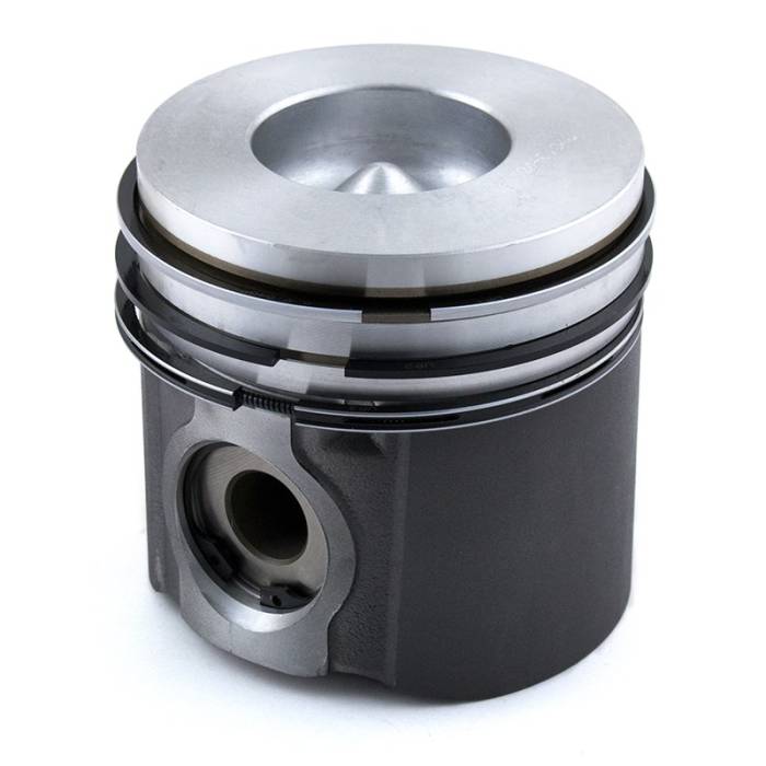 Reliance - 161321-RP - Piston & Rings