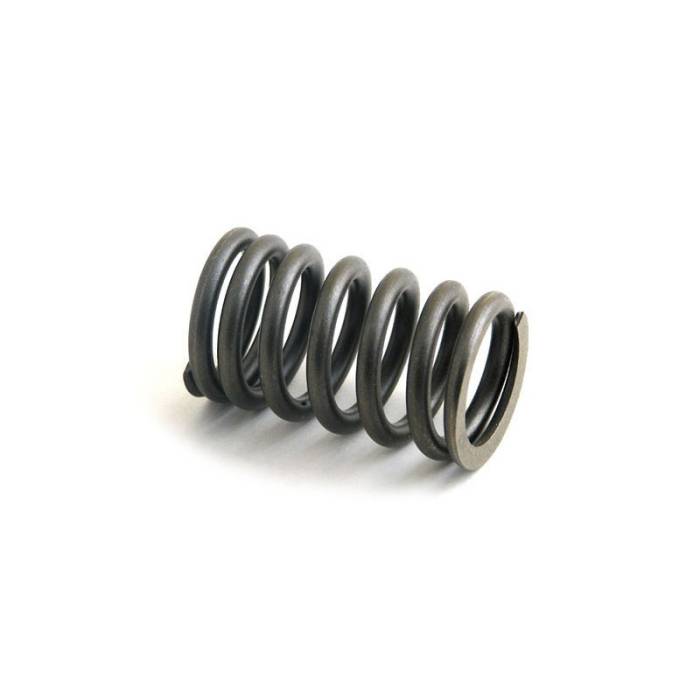 Reliance - E1ADDN6513-RP - Valve Spring