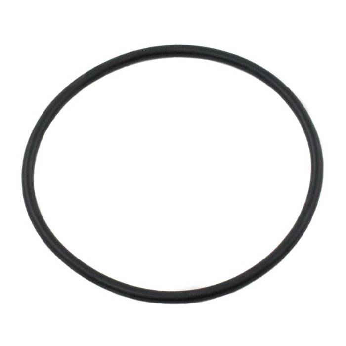 Reliance - E1ADKN6061A-RP - Liner Sealing Ring