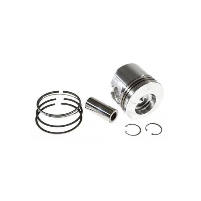 Reliance - 181562-RP - Piston & Rings