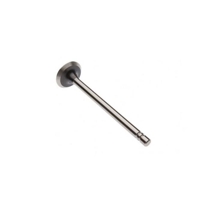 Reliance - 10A17913-RP - Intake Valve