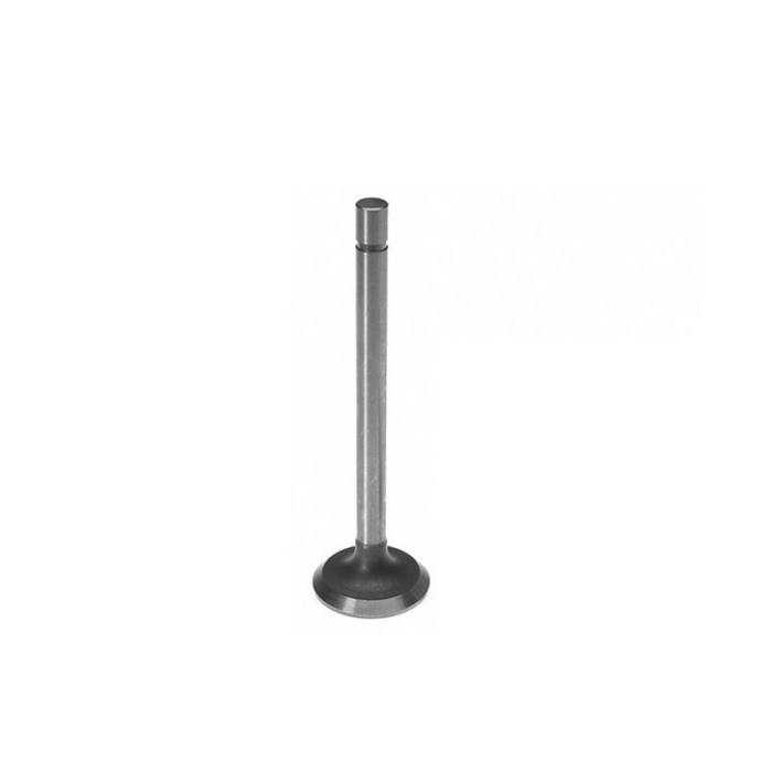 Reliance - 10A6429-RP - Intake Valve