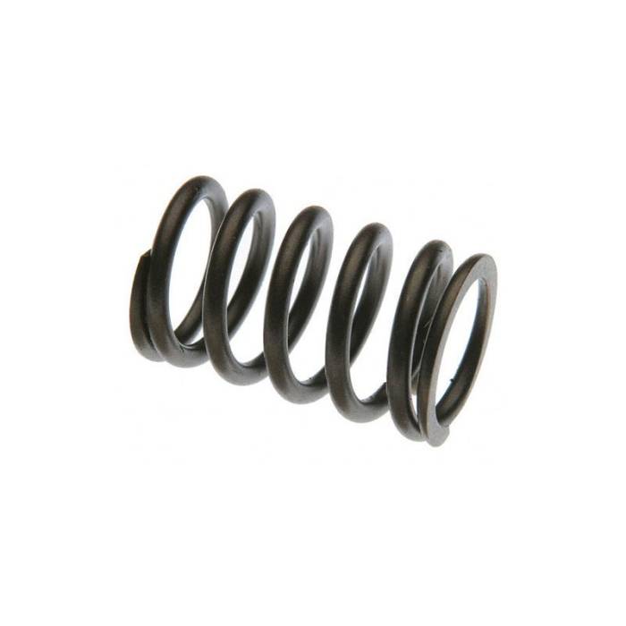 Reliance - 9N5495-RP - Valve Spring