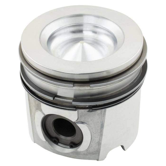 Reliance - 4955365-RP - Piston & Rings