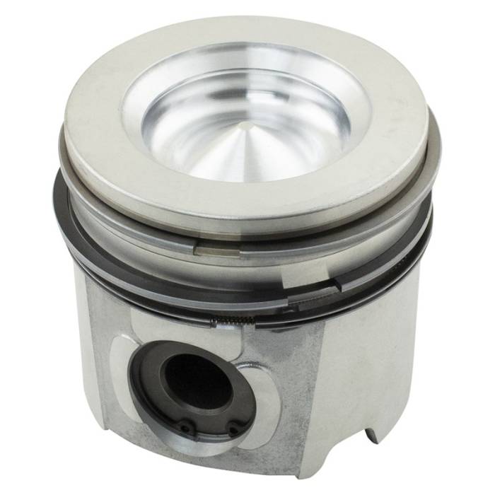 Reliance - 4956007-RP - Piston & Rings