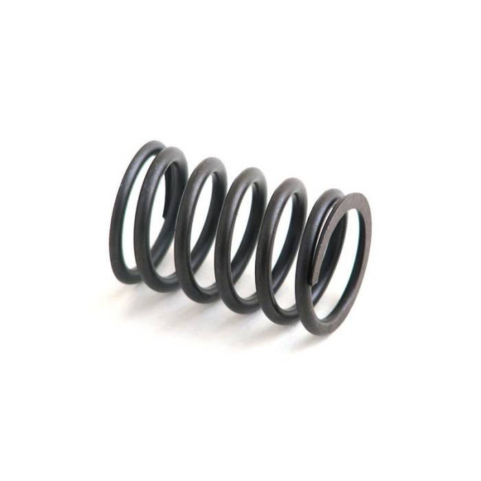 Reliance - 31744133-RP - Valve Spring