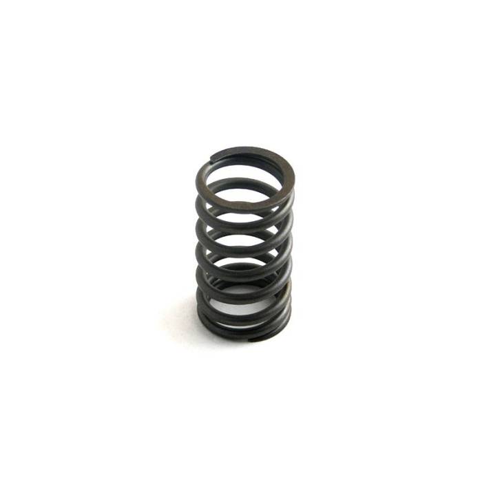 Reliance - 31744137-RP - Valve Spring