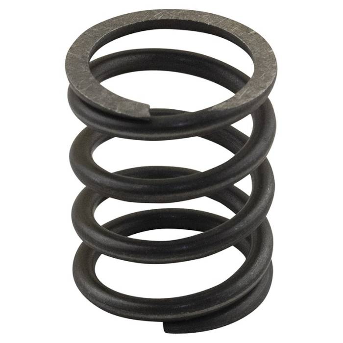 Reliance - 3174P002-RP - Valve Spring