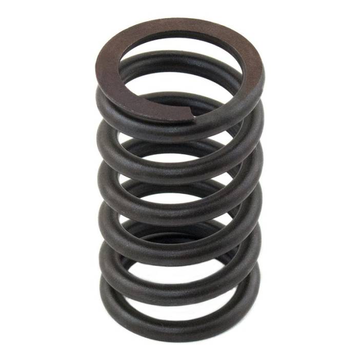 Reliance - 3174P405-RP - Valve Spring