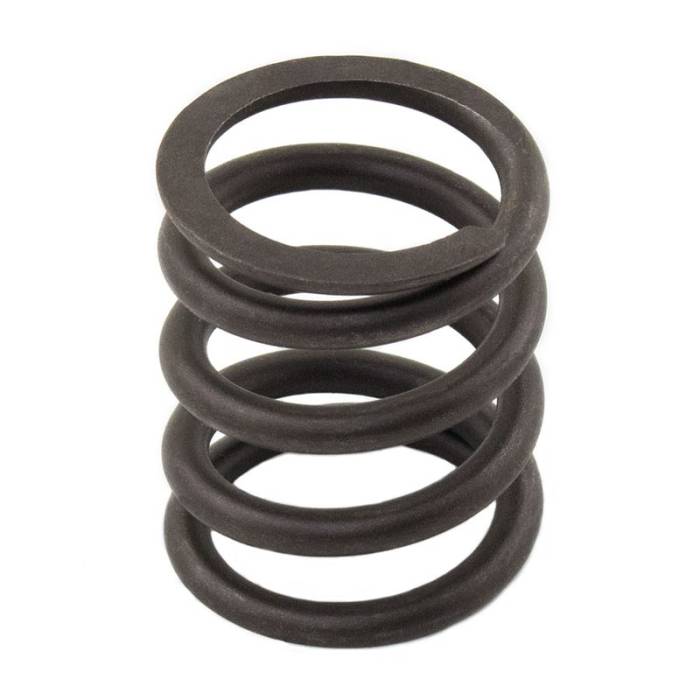 Reliance - 3174P412-RP - Valve Spring