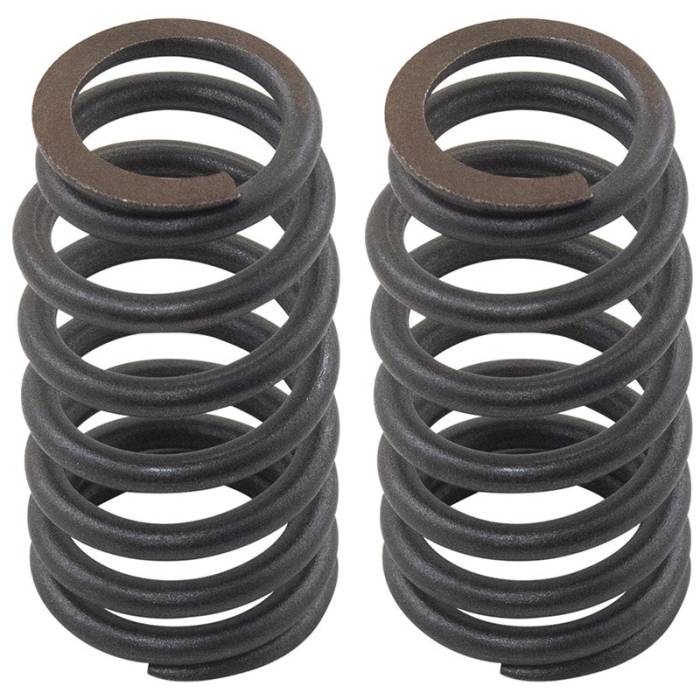 Reliance - RE516486-FP -  Valve Springs (Set of 2)
