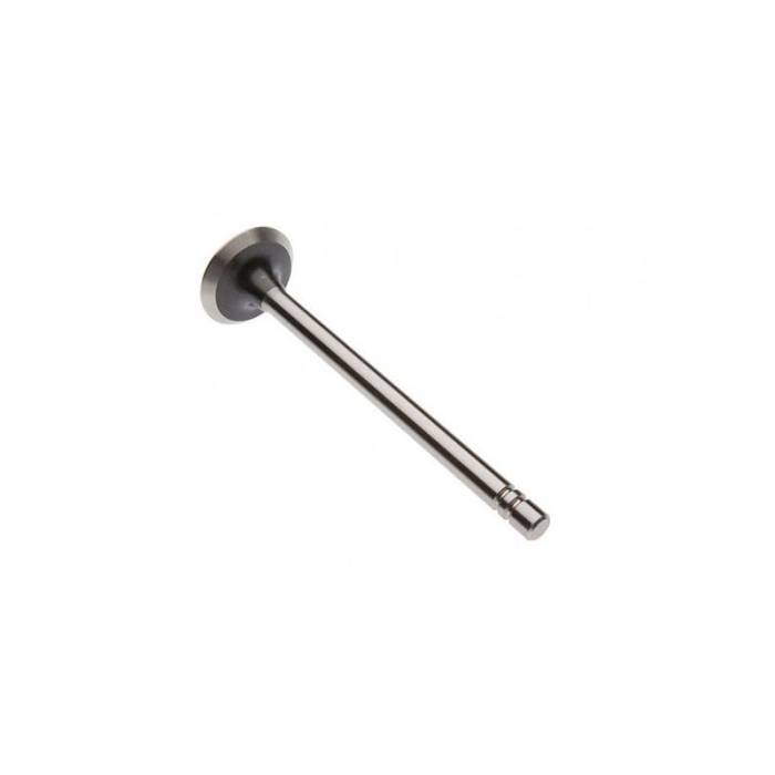 Reliance - 190136C-RP - Exhaust Valve