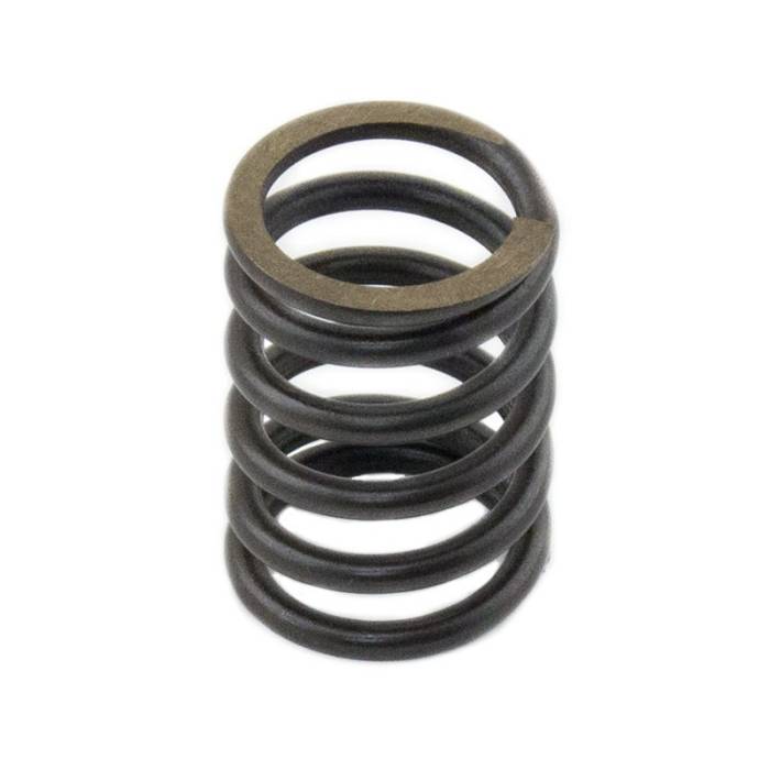 Reliance - 198216700-RP - Valve Spring