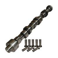 Engine Parts - Camshaft & Lifters
