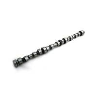 Camshaft & Lifters - Federal Power Products - R82821-FP - Camshaft