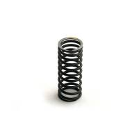 3044239-RP - Valve Spring