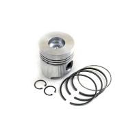 4675490K-RP - Piston & Rings