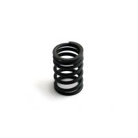 4798427-RP - Valve Spring