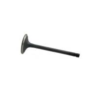 4824417-RP - Intake Valve