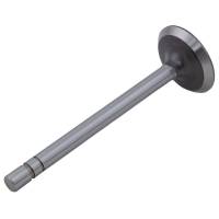 70209132-RP - Intake Valve