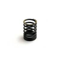 70211038-RP - Valve Spring