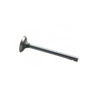 70234829-RP - Intake Valve