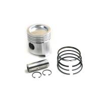 71365375-RP - Piston & Rings