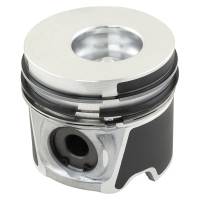 87317238-RP - Piston & Rings