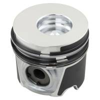 87317243-RP - Piston & Rings