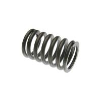 A66444-RP - Valve Spring