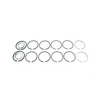 AA4922R-RP - Piston Ring Set