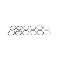 AF2224R-RP - Piston Ring Set