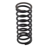 B1794R-RP - Valve Spring