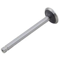 1750072M1-RP - Exhaust Valve