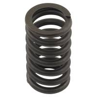 FO600I310-RP - Valve Spring